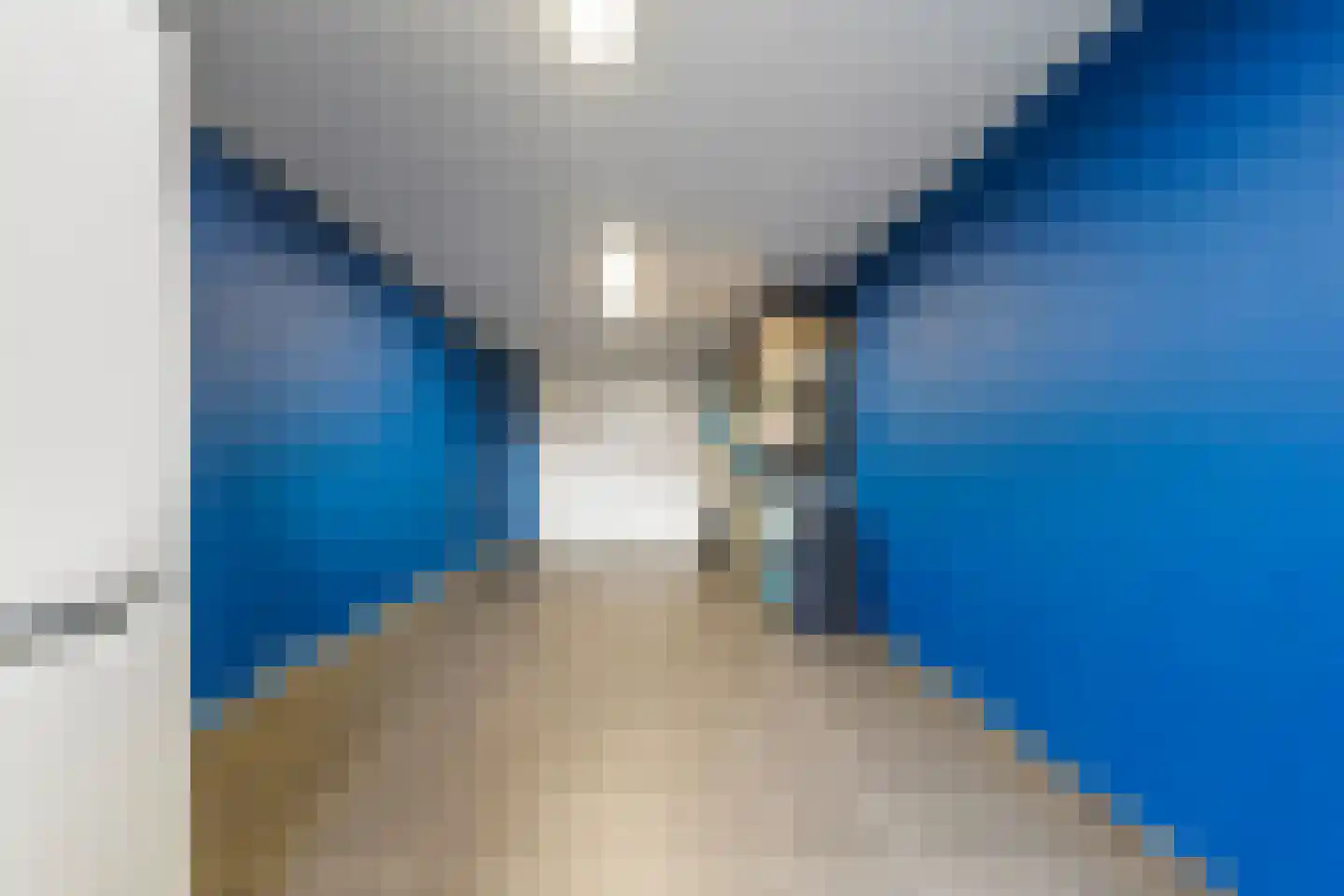 Schijndelseweg 36 Boxtel thumbnail 45