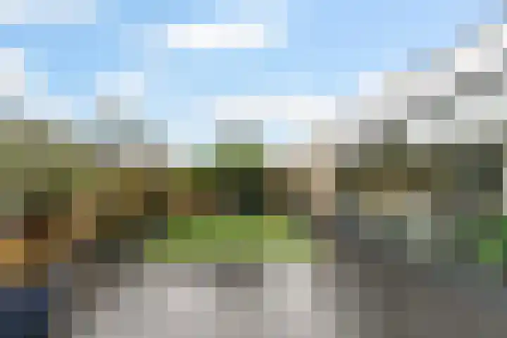Schijndelseweg 36 Boxtel thumbnail 49