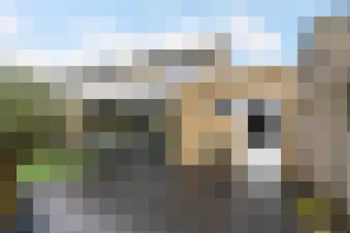 Schijndelseweg 36 Boxtel thumbnail 50