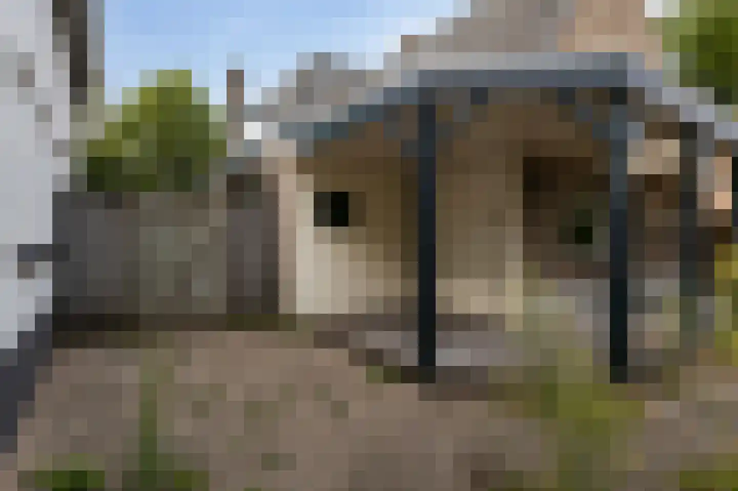 Schijndelseweg 38 Sint-Michielsgestel thumbnail 47