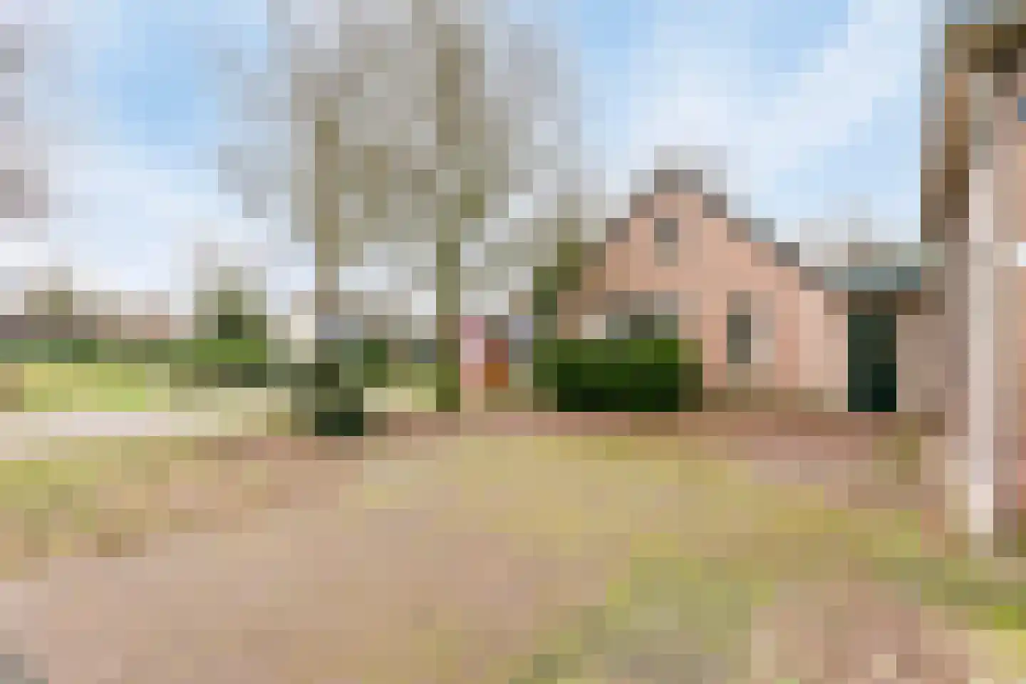 Schijndelseweg 38 Sint-Michielsgestel thumbnail 53