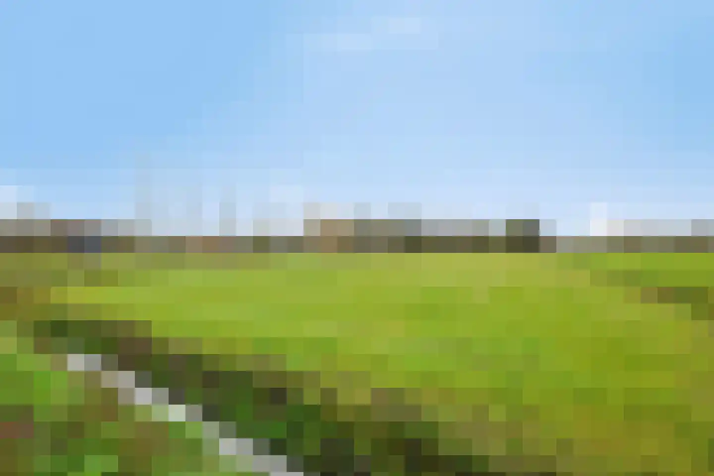 Schijndelseweg 41 H Sint-Michielsgestel thumbnail 47