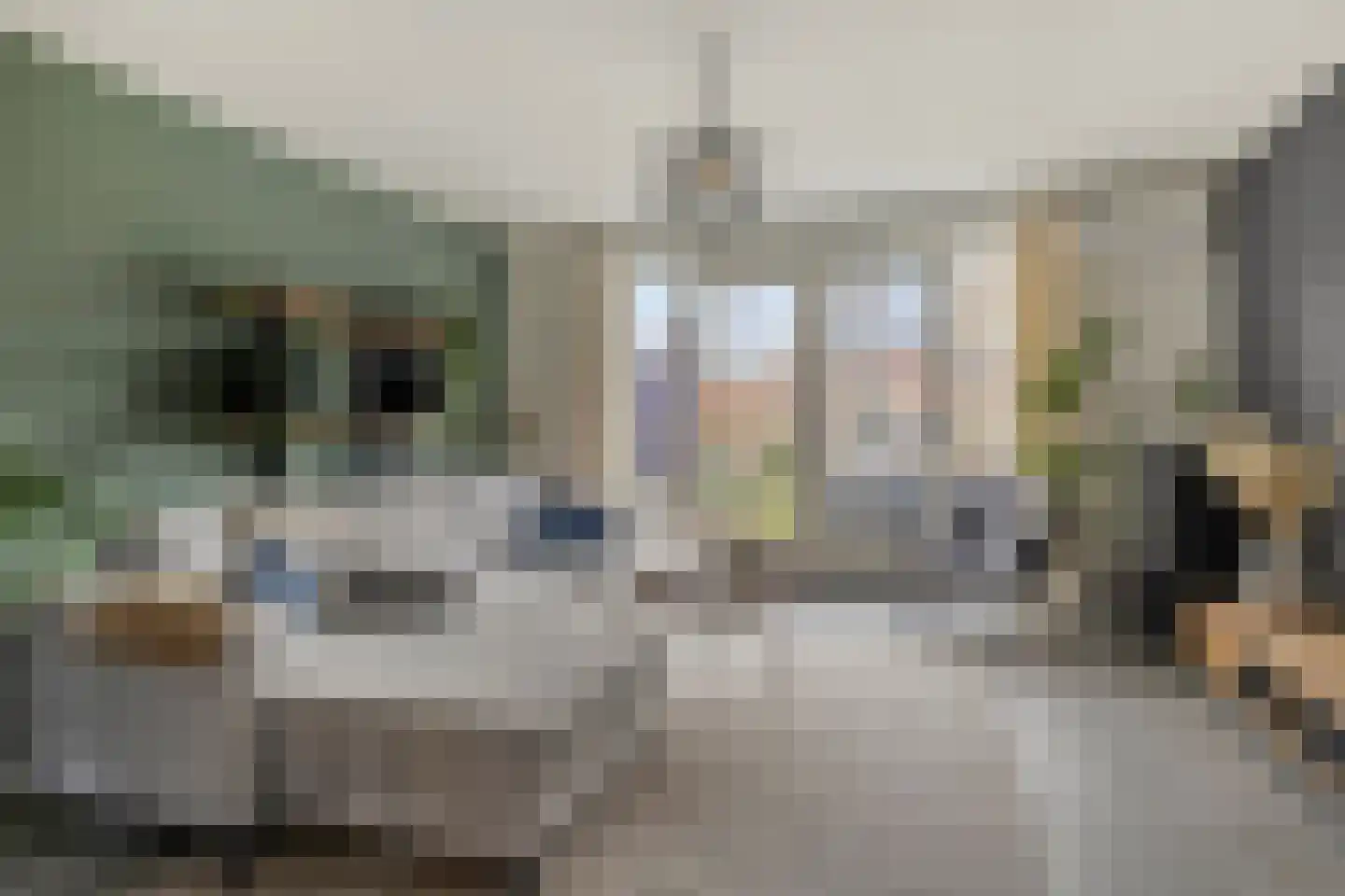 Schijndelseweg 41 H Sint-Michielsgestel thumbnail 8