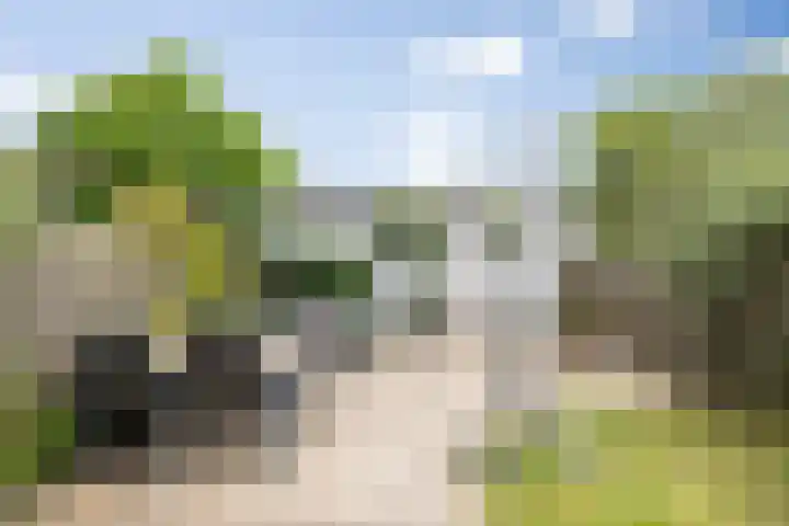 Schijndelseweg 76 Boxtel thumbnail 41