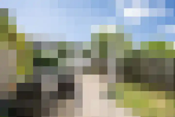 Schijndelseweg 76 Boxtel thumbnail 47