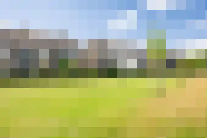 Schijndelseweg 76 Boxtel thumbnail 54