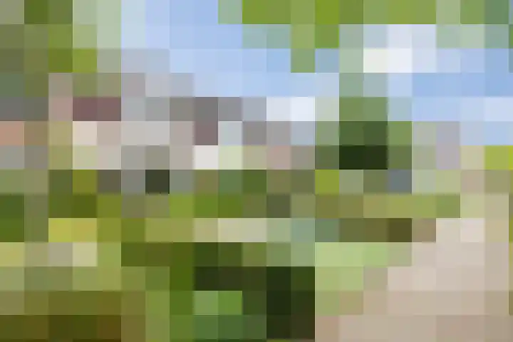 Schijndelseweg 76 Boxtel thumbnail 55