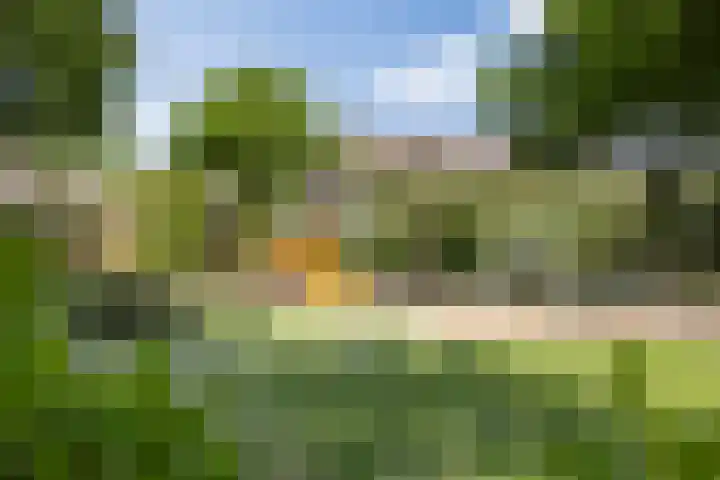Schijndelseweg 76 Boxtel thumbnail 57