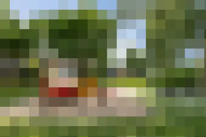Schijndelseweg 76 Boxtel thumbnail 58