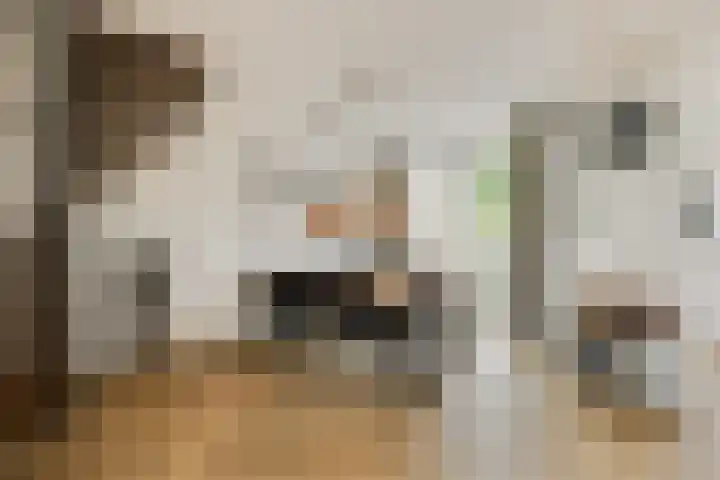 Schijndelseweg 76 Boxtel thumbnail 8