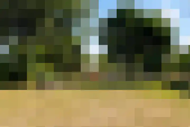 Schijndelseweg 84 Boxtel thumbnail 55