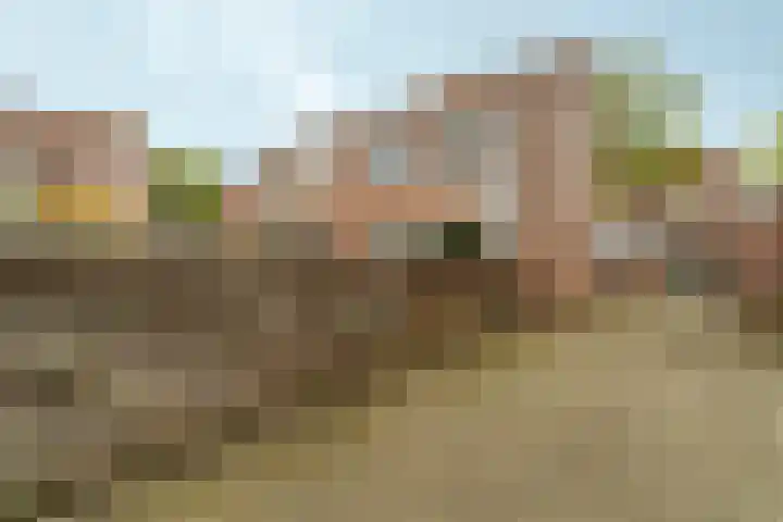 Schijndelstraat 3 Arnhem thumbnail 23