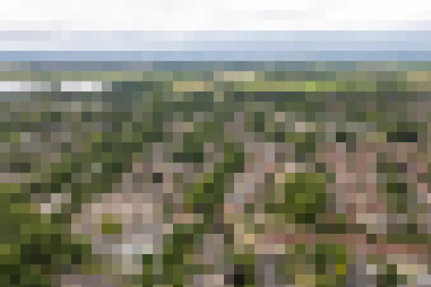 Schijndelstraat 74 Arnhem thumbnail 23