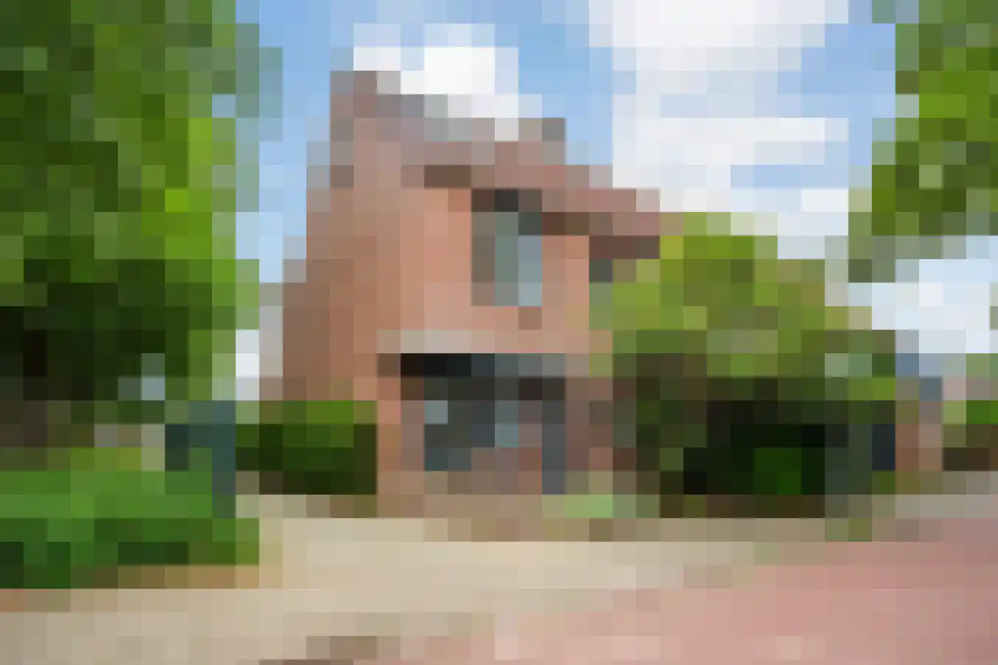 Schijndelstraat 74 Arnhem thumbnail 24