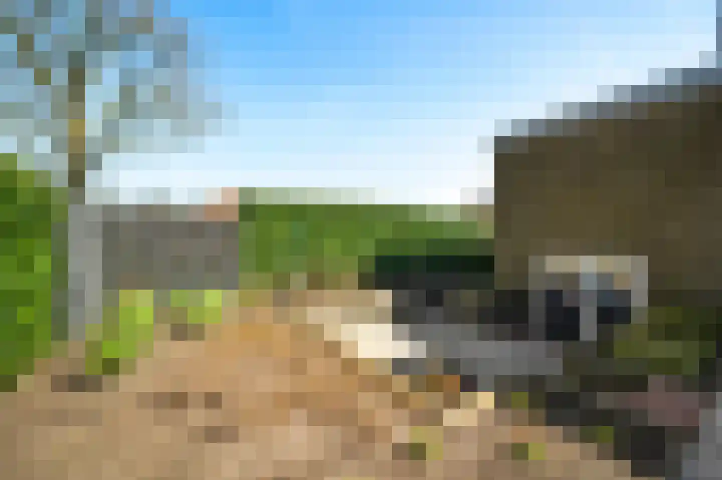 Schiksedijk 10 America thumbnail 45