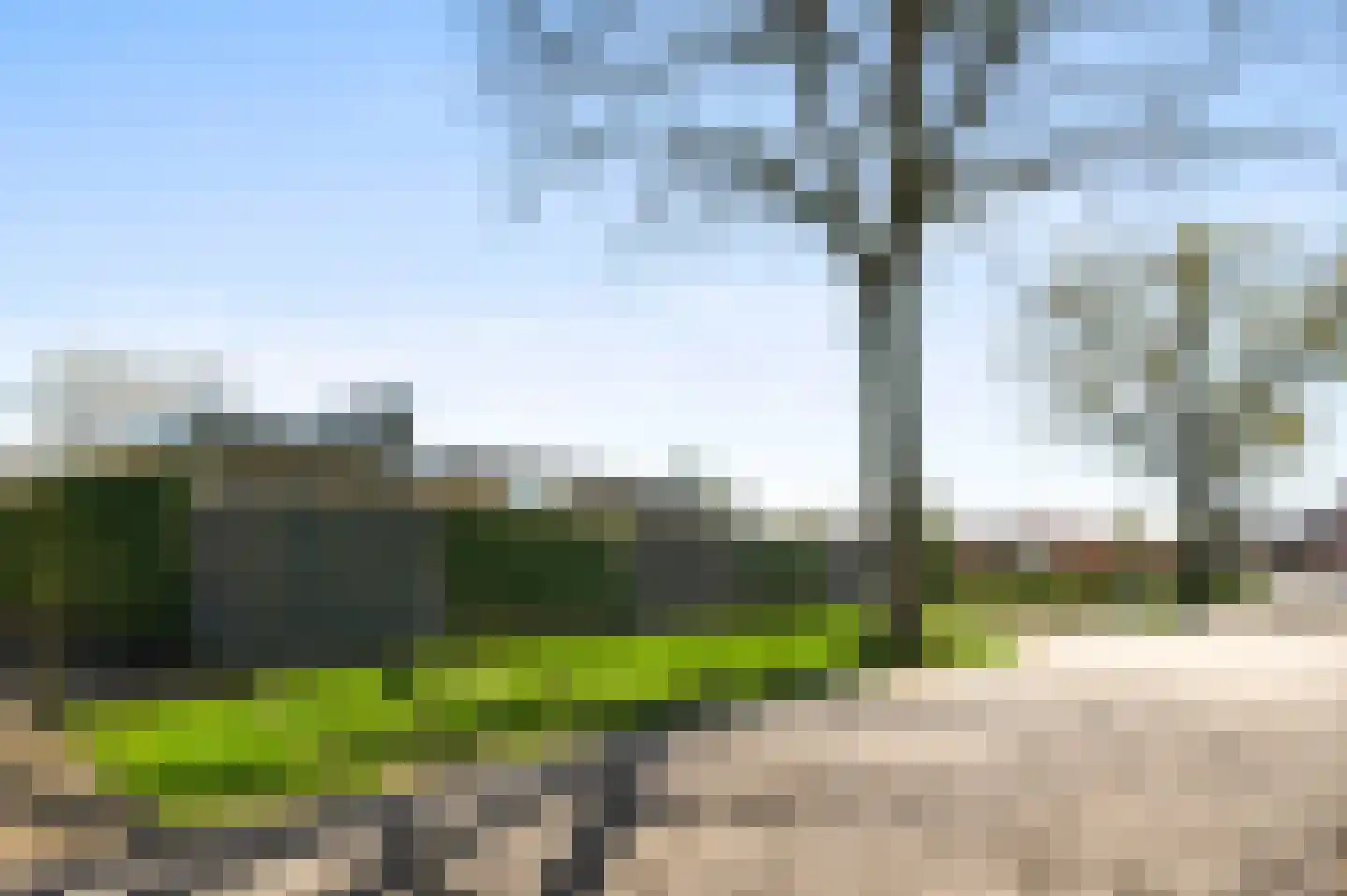 Schiksedijk 10 America thumbnail 48