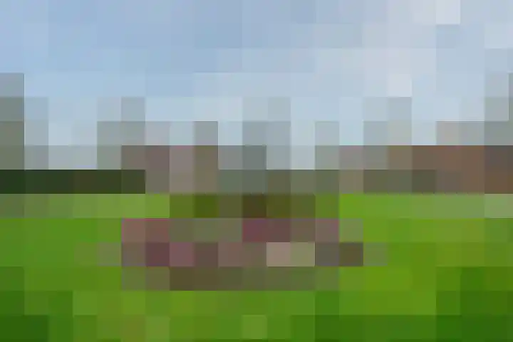 Schiksedijk 11 America thumbnail 34