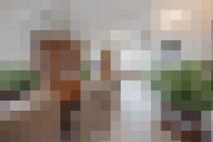 Schiksedijk 15 America thumbnail 10