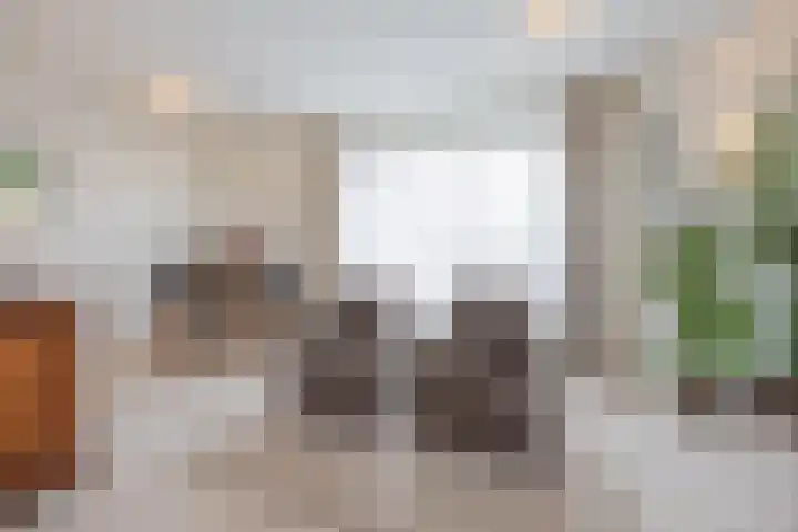 Schiksedijk 15 America thumbnail 13