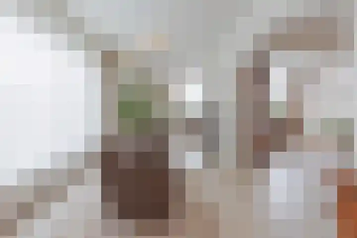 Schiksedijk 15 America thumbnail 14