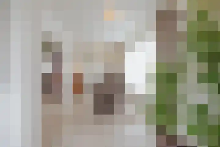 Schiksedijk 15 America thumbnail 15