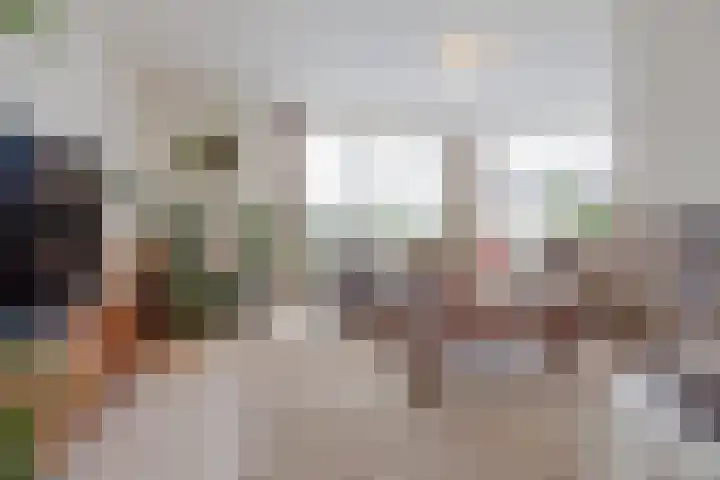 Schiksedijk 15 America thumbnail 16