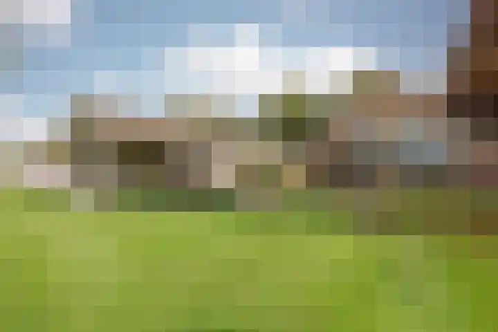 Schiksedijk 15 America thumbnail 4