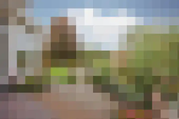 Schiksedijk 15 America thumbnail 43