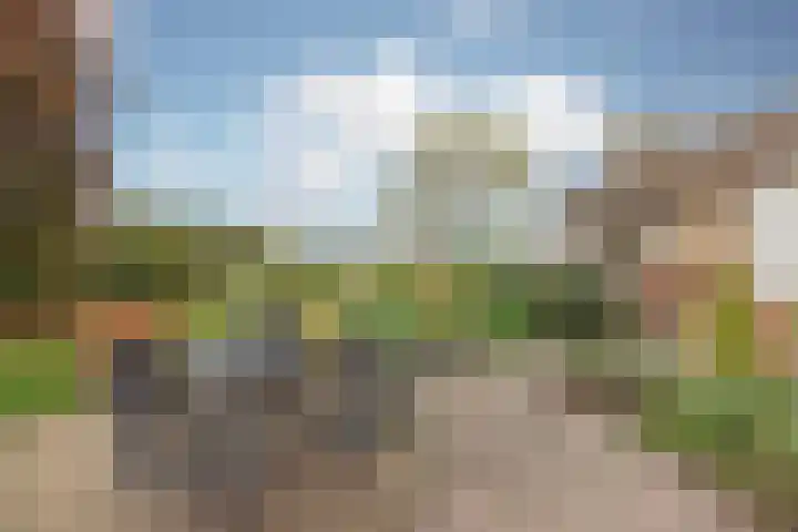 Schiksedijk 15 America thumbnail 44