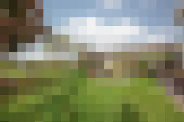 Schiksedijk 15 America thumbnail 45