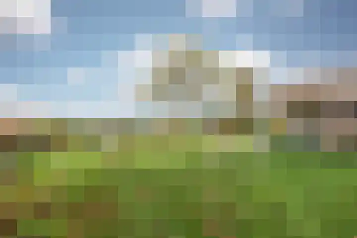 Schiksedijk 15 America thumbnail 46