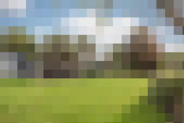 Schiksedijk 15 America thumbnail 52