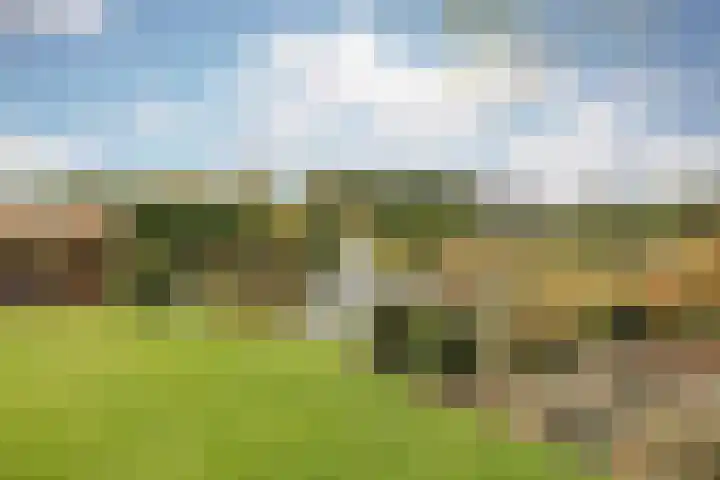 Schiksedijk 15 America thumbnail 53