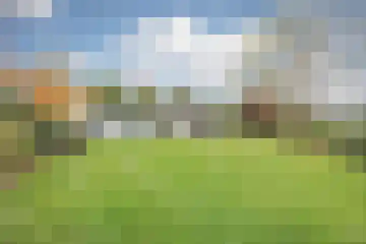 Schiksedijk 15 America thumbnail 56