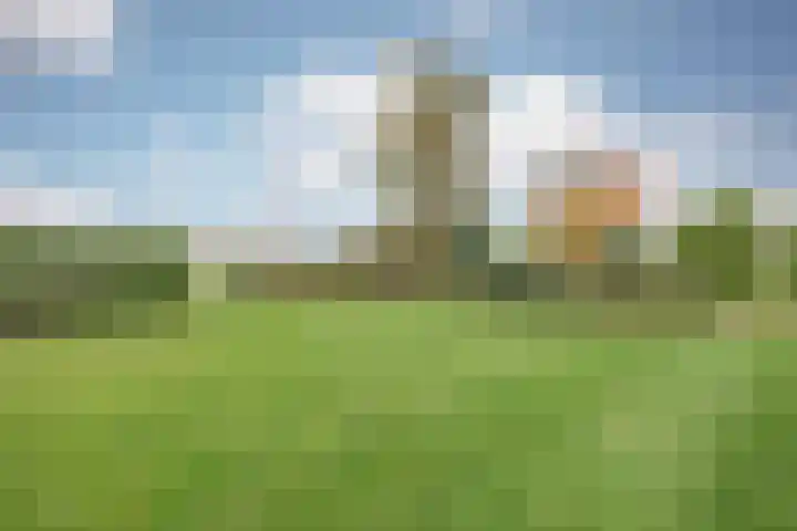 Schiksedijk 15 America thumbnail 58