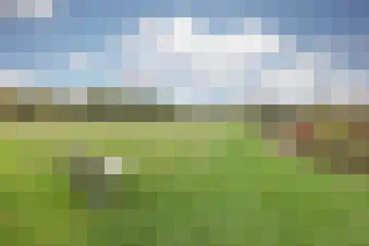 Schiksedijk 15 America thumbnail 59