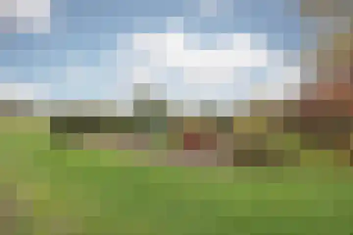 Schiksedijk 15 America thumbnail 60