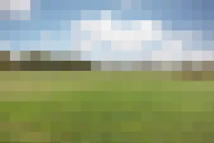 Schiksedijk 15 America thumbnail 61