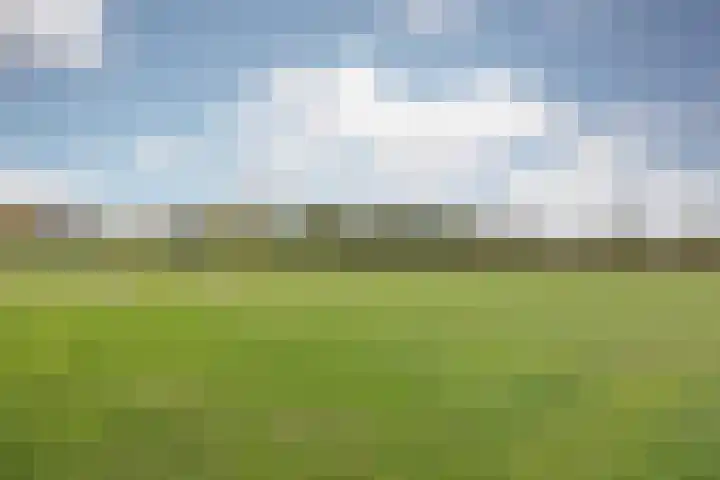 Schiksedijk 15 America thumbnail 62