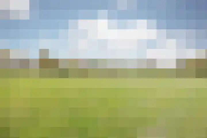 Schiksedijk 15 America thumbnail 64