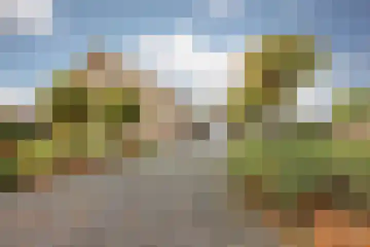 Schiksedijk 15 America thumbnail 66