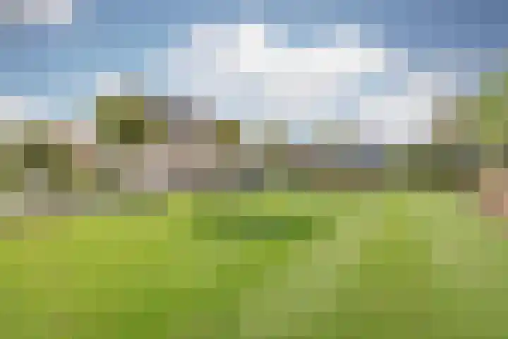 Schiksedijk 15 America thumbnail 67