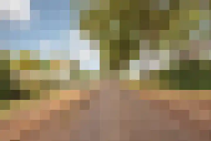 Schiksedijk 15 America thumbnail 69