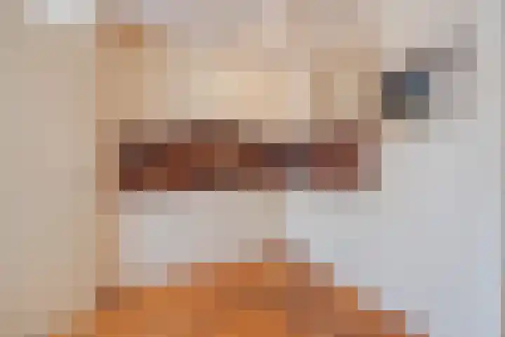 Schiksedijk 3 America thumbnail 15