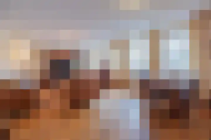 Schiksedijk 3 America thumbnail 19