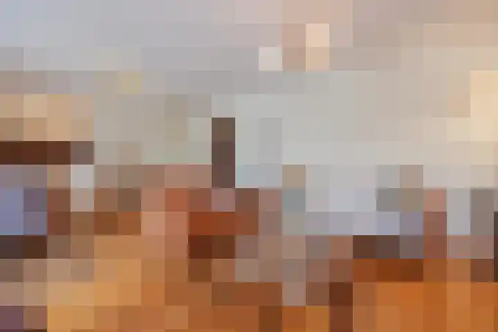 Schiksedijk 3 America thumbnail 21