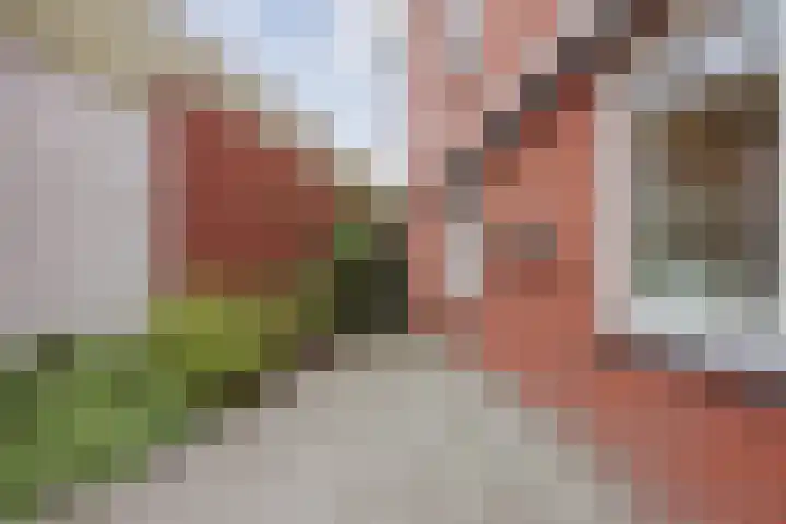 Schiksedijk 3 America thumbnail 33