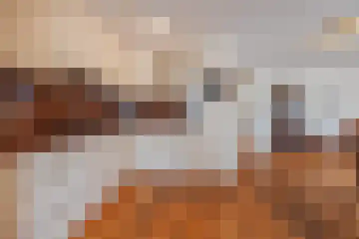 Schiksedijk 3 America thumbnail 4