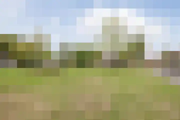 Schiksedijk 3 America thumbnail 42