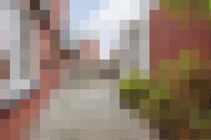 Schiksedijk 3 America thumbnail 5